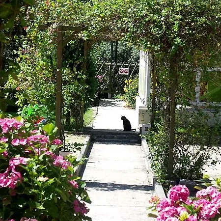 Le Clos Robinson Martin-Eglise