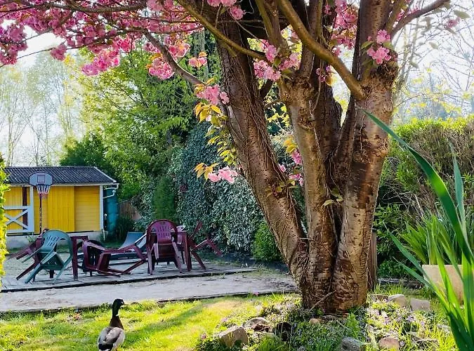 Guest house Le Clos Robinson 3*